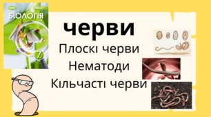 Черви: плоскі черви, нематоди, кільчасті черви. 7 клас нуш