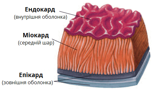 0603hb2v-b3d9-492x296.png