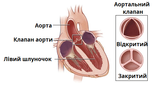 0603hb5n-e4b4-530x300.png