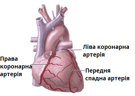 0603hb8l-d4a9-453x324.png