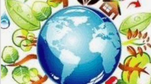 Сукцесії. Закономірності сукцесій