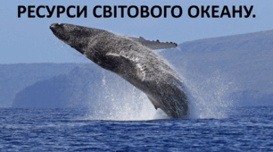 Презентація до уроку: "РЕСУРСИ СВІТОВОГО ОКЕАНУ."