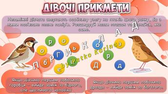 0603hiht-ee05-344x194.jpg