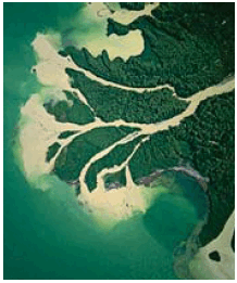 0603hjbh-1ad2-218x261.png
