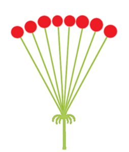 0603hjxy-26b7-254x298.png