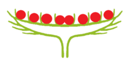 0603hjym-87f2-256x119.png