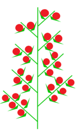 0603hjzz-8cfb-251x418.png