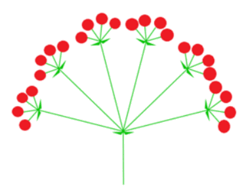 0603hk0d-204e-248x186.png