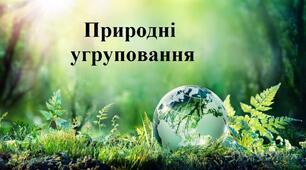 Діагностувальна робота з теми Природні угруповання