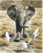 0603hleq-3661-89x108.png