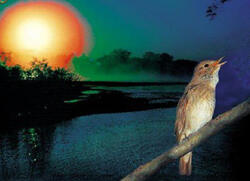 0603hqtn-f992-250x181.jpg