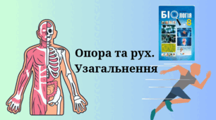 Опора та рух. Узагальнення