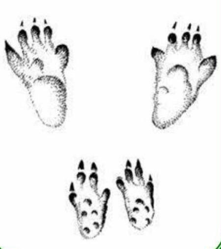 0603hsxx-4b4e-450x506.jpg