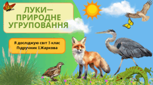 Презентація до уроку Я досліджую світ 3 клас "Луки- природне угруповання"
