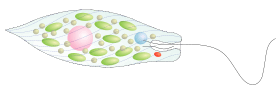 0603i21s-de79-280x91.png