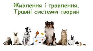 Системи органів. Травна система.