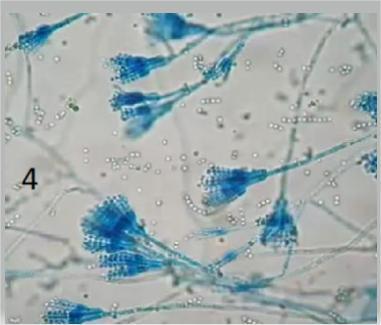 0603i5vo-8c7b-381x325.jpg