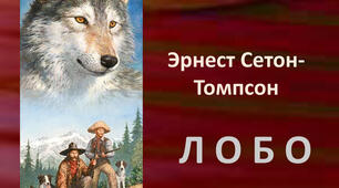 Ернест Сетон-Томпсон. Біографія.  Оповідання "Лобо".  Авторські спостереження за світом природи.