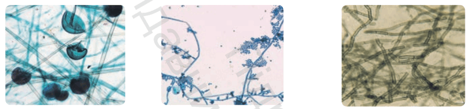 0603i69u-c363-940x219.png