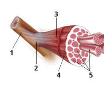 0603i6y1-3cf9-207x172.png