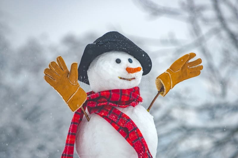 112,163 Funny Snow Stock Photos - Free & Royalty-Free Stock ...