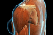 0603i7af-d866-189x126.png