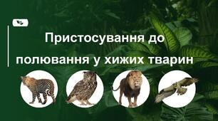 Пристосування до полювання у хижих тварин