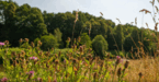 0603ido3-e716-154x80.png