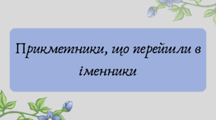 План-конспект та презентація "Прикметники, що перейшли в іменники"