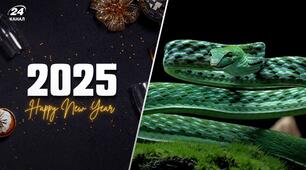 Новий рік за місячним календарем - китайський Новий рік 2025 у Парижі та регіоні