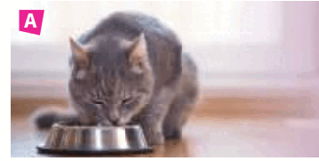 0603iil0-628d-359x181.png