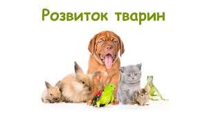 Розвиток тварин