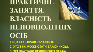 Презентація: "ПРАКТИЧНЕ ЗАНЯТТЯ. ВЛАСНІСТЬ НЕПОВНОЛІТНІХ ОСІБ"