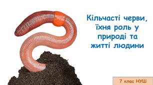 Презентація на тему: "Кільчасті черви, їхня роль у природі та житті людини " 7 кл НУШ