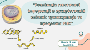 Реалізація спадкової інформації: транскрипція та процесинг РНК