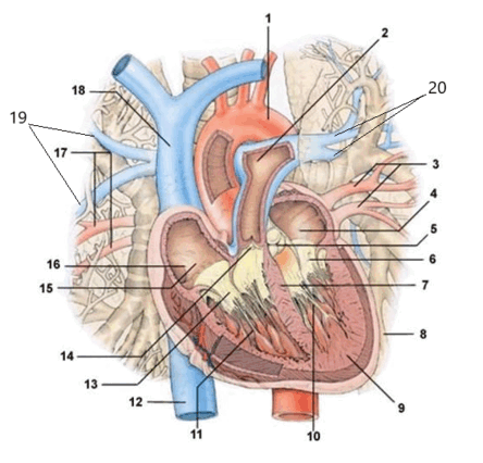 0603iorh-be12-444x426.png