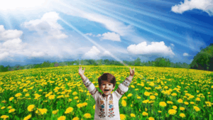 0603ir6c-82e8-300x169.png