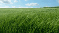0603ircc-019e-200x112.gif