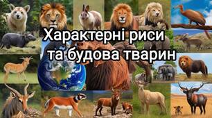 Підсумкова контрольна робота №5(  ГР2, ГР3) "Характерні риси та будова тварин"