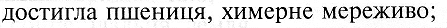 0603j5ra-07d2-447x28.png