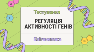 Тестування "Гени. Регуляція активності генів"