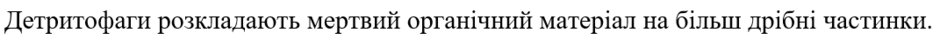 0603j6lc-fa5f-940x39.png