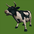 0603j7gm-d362-386x386.gif