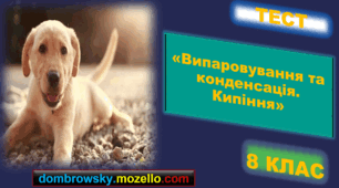 Тест за темою: «Випаровування та конденсація. Кипіння»