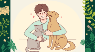 Флешкартки з теми "My pets", UNIT 4 за підручником О. Карпюк, 1 клас