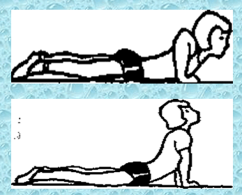 0603jhbs-bd1c-347x280.png