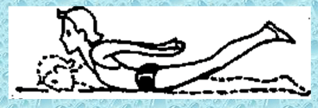 0603jhc6-ff5b-458x156.png