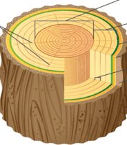 0603jjcz-02f8-184x211.png