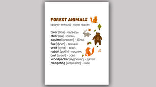 Слова англійською на тему Forest Animals Лісові Тварини