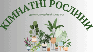 Демонстраційний матеріал  "Кімнатні рослини"